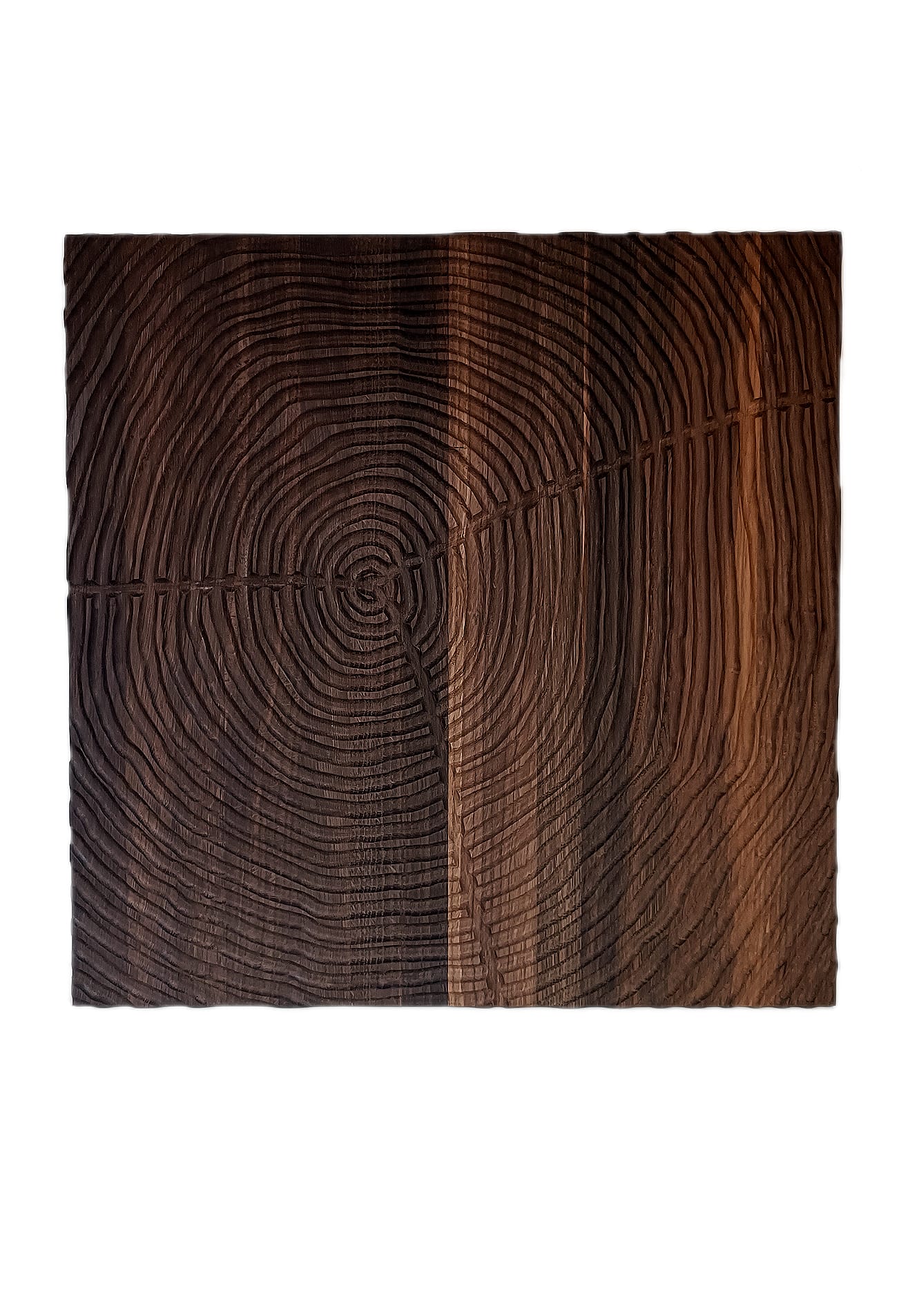 Holzkunst-Wandrelief: Das Spiel der Jahresringe - Yannis Beyer