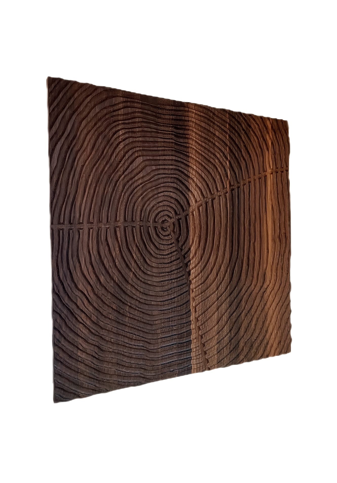 Holzkunst-Wandrelief: Das Spiel der Jahresringe - Yannis Beyer