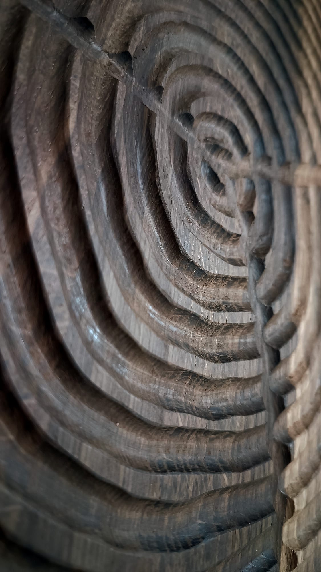 Holzkunst-Wandrelief: Das Spiel der Jahresringe - Yannis Beyer